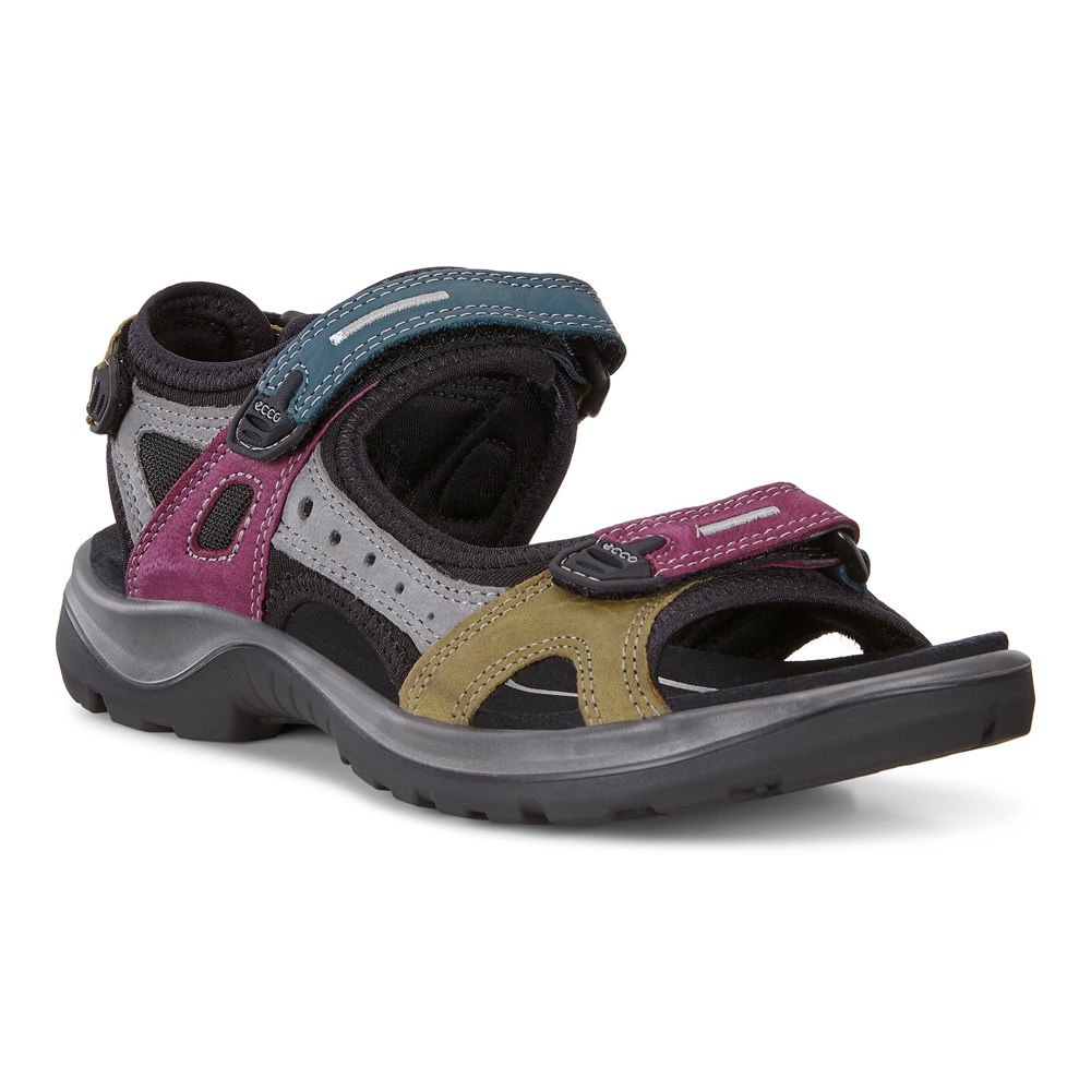 Sandalias Mujer - ECCO Offroad Flat - Verde Oliva - IBU520691